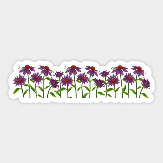 Purple Coneflower - Cone flowers Echinacea Floral Art Sticker by Thor